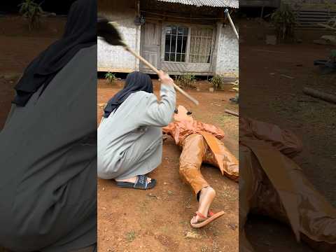 ada tokek raksasa #diy #komedi #hiburan