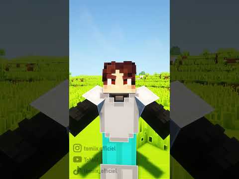 Ce pote qui fait toujours autre chose sur Minecraft...