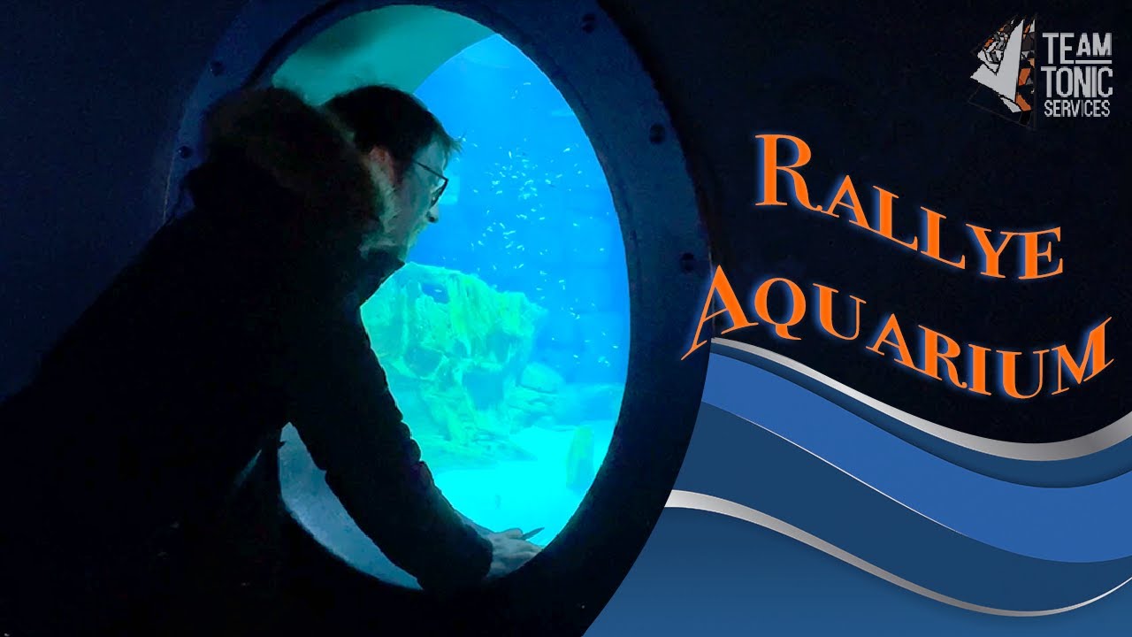 Team Building at Paris Aquarium 🐠