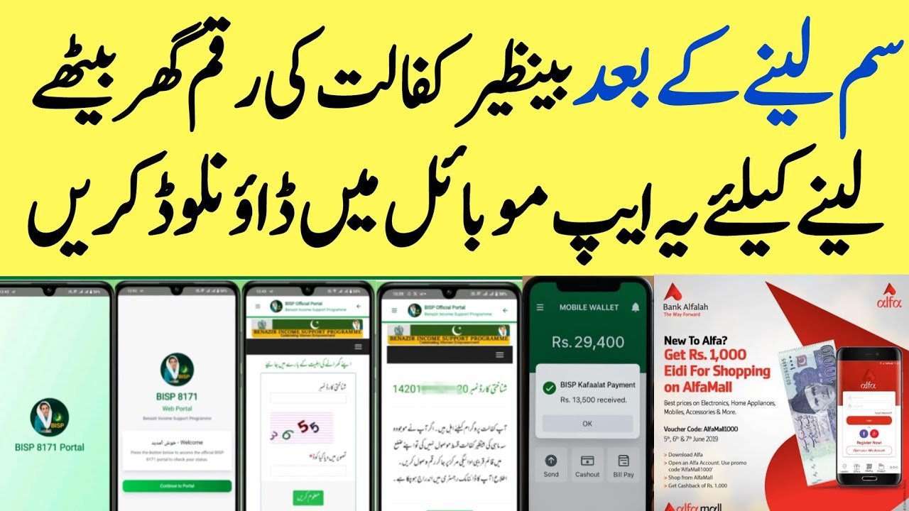 BISP Wallet & Payment Check Guide 2026 💳