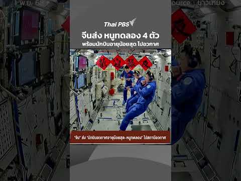 จีนส่ง หนูทดลอง 4 ตัว พร้อมนักบินอวกาศอายุน้อยสุด ไปสถานีอวกาศ | ข่าวเที่ยง | 1 พ.ย. 68
