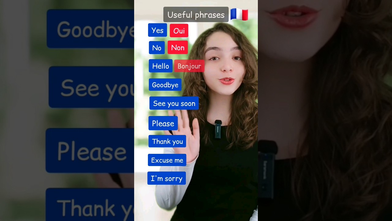 Essential French Phrases and Basic Vocabulary for Beginners 🇫🇷