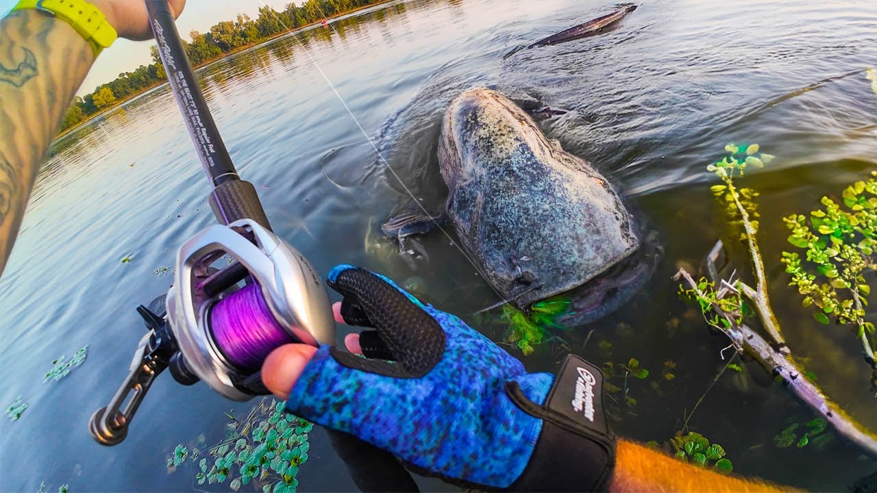Pêche des GÉANTS de Loire du BORD : Je me fais attaquer ! 😨