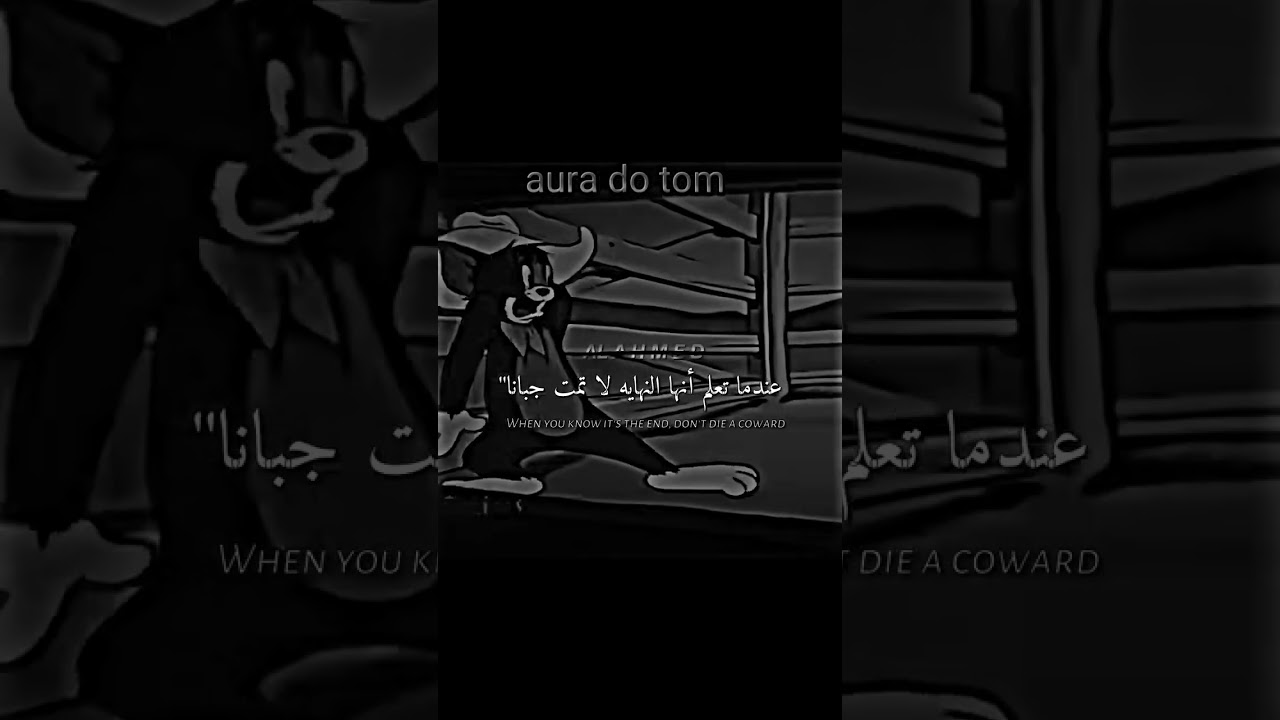 Didine Canon 16 Drops Fresh Hip-Hop & Acoustic Album 🎶