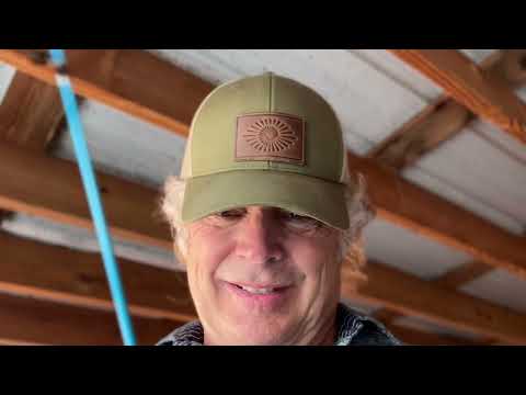 Dee Dee talked me into it!