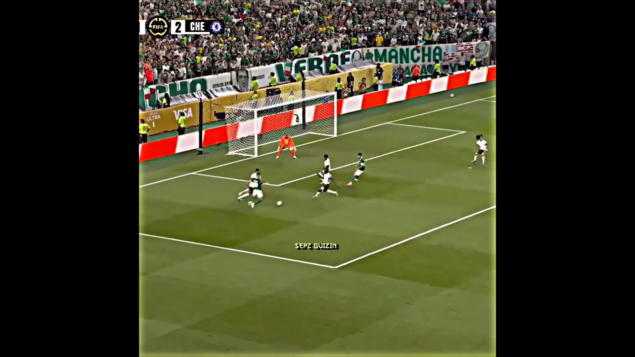 SE O PAULINHO FIZESSE ESSE GOL 😞🇮🇹 #palmeiras #futebol #edit #sociedadeesportivapalmeiras #palmeiras