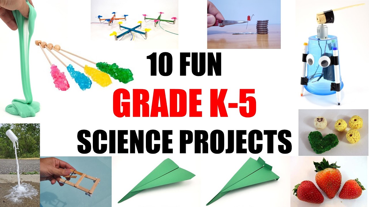 10 Fun Elementary Science Projects for Kids ✨