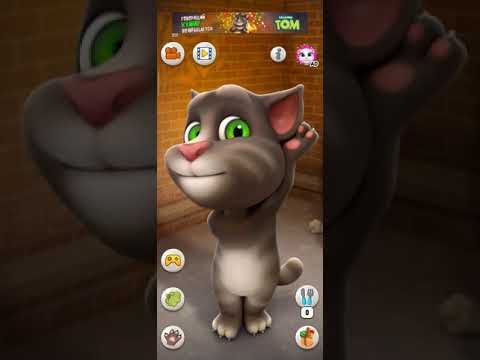My Talking Tom 🐈 says, it's a good weather today