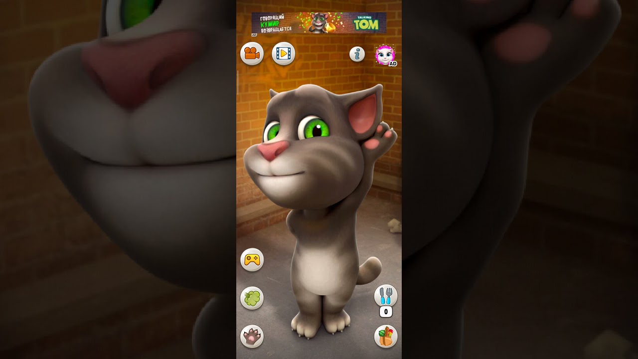 My Talking Tom π± Declares Today's Weather Is Perfect!