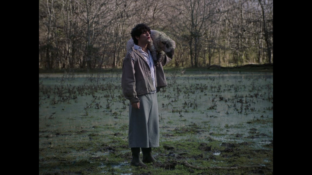 Tradición: Dirección y Producción en DF 🎬