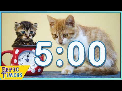 Kitten Day 5 minute Timer with Music!
