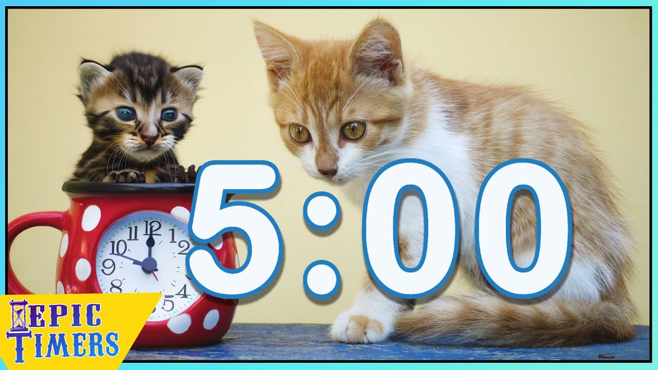 Kitten Day Timer with Music 🐱 (5 Minutes)