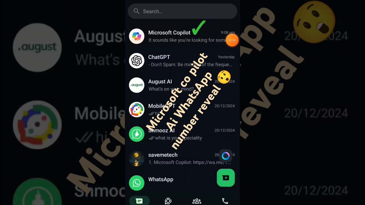 Using Co Pilot AI on WhatsApp π±