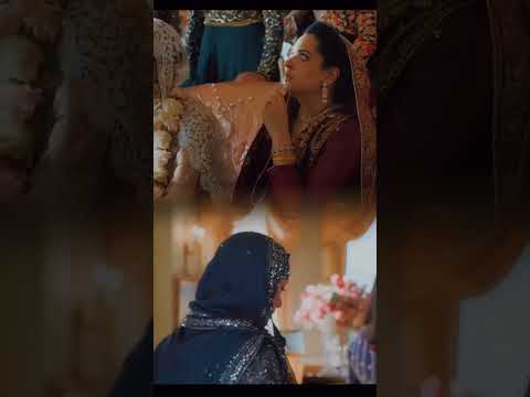 ANIMAL Bobby deol romance 😅#animal #newmovie #shorts#animalnewmovie