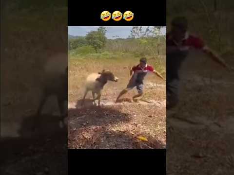 Epic Funny Video 😂 | Hilarious Moments