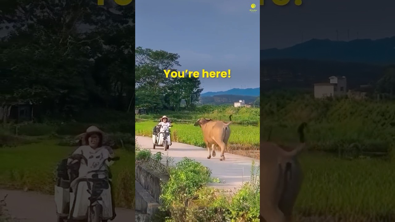 The Pure Love of Animals ❤️