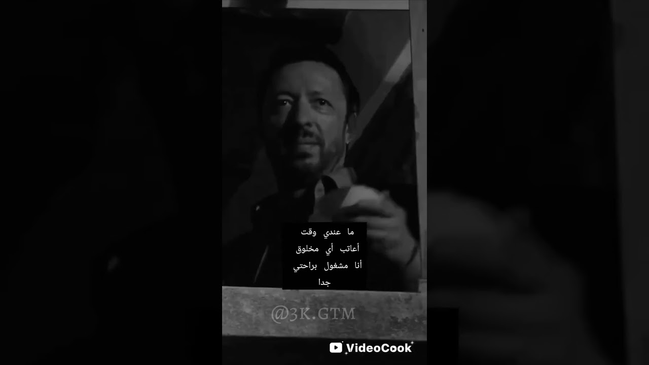أفضل مشاهد القطة في مسلسل وادي الذئاب نار 🤩