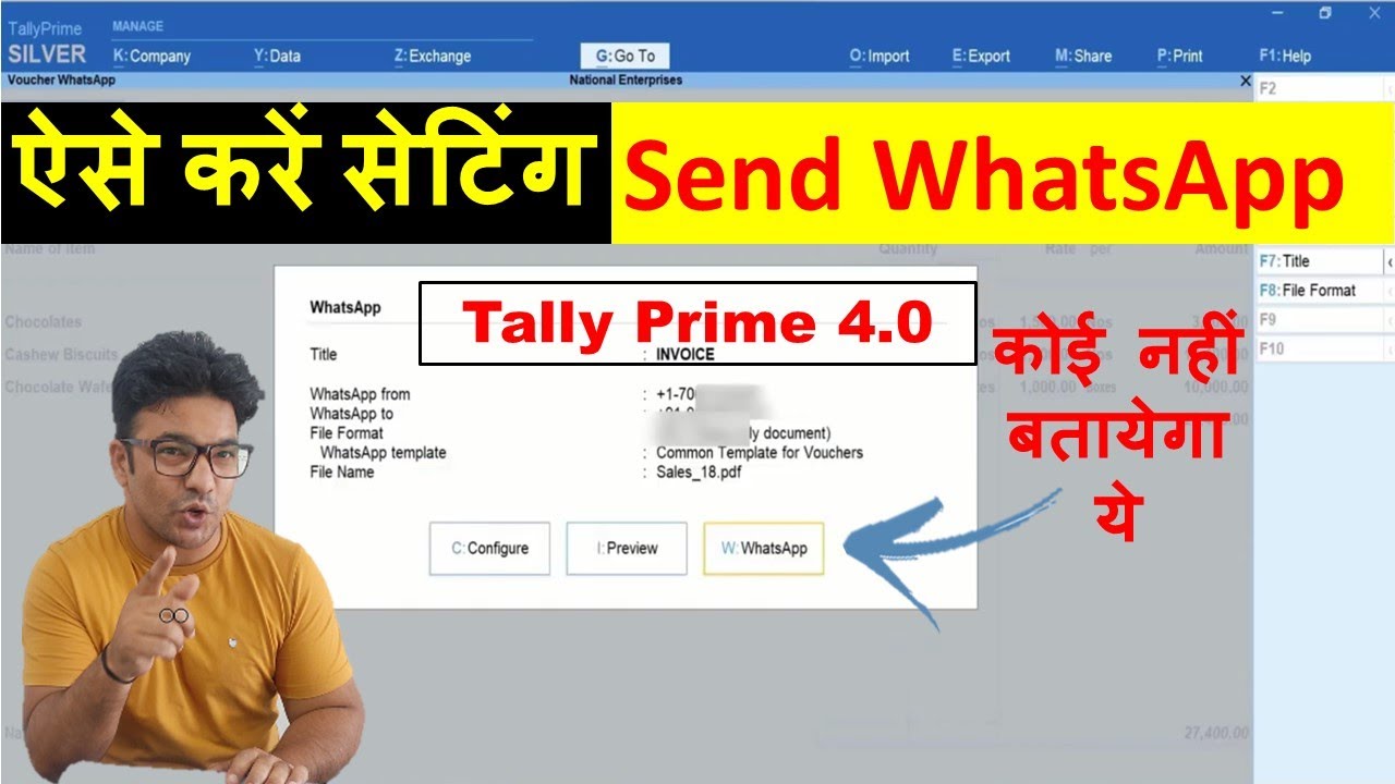 Easily Send WhatsApp Messages & PDFs Directly from Tally Prime 4.0 π±