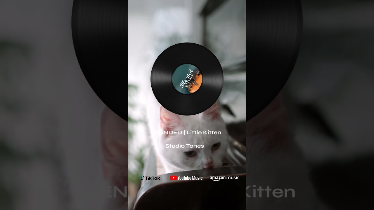 BLENDED | Little Kitten: Soothing ASMR & Relaxing Music for Peaceful Moments 🐱