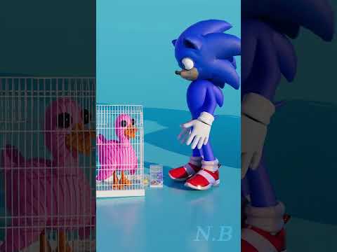 SONIC X / N.B ANIMATION #animation #sonic #funny