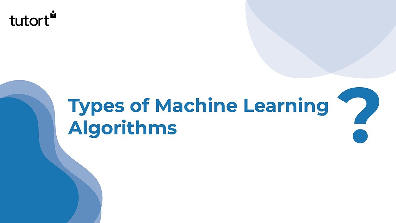 Discover the Different Types of Machine Learning Algorithms 🚀 | Complete Tutorial