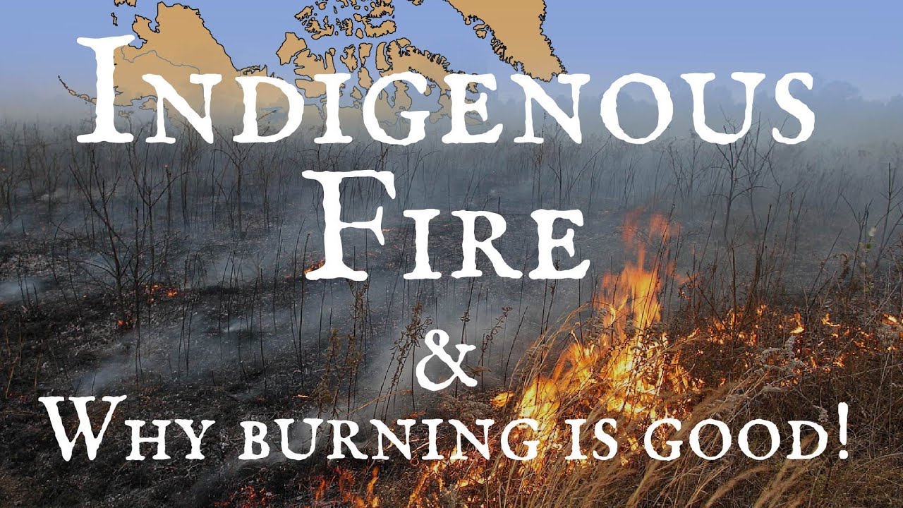 Indigenous Fire Practices and Their Benefits 🔥