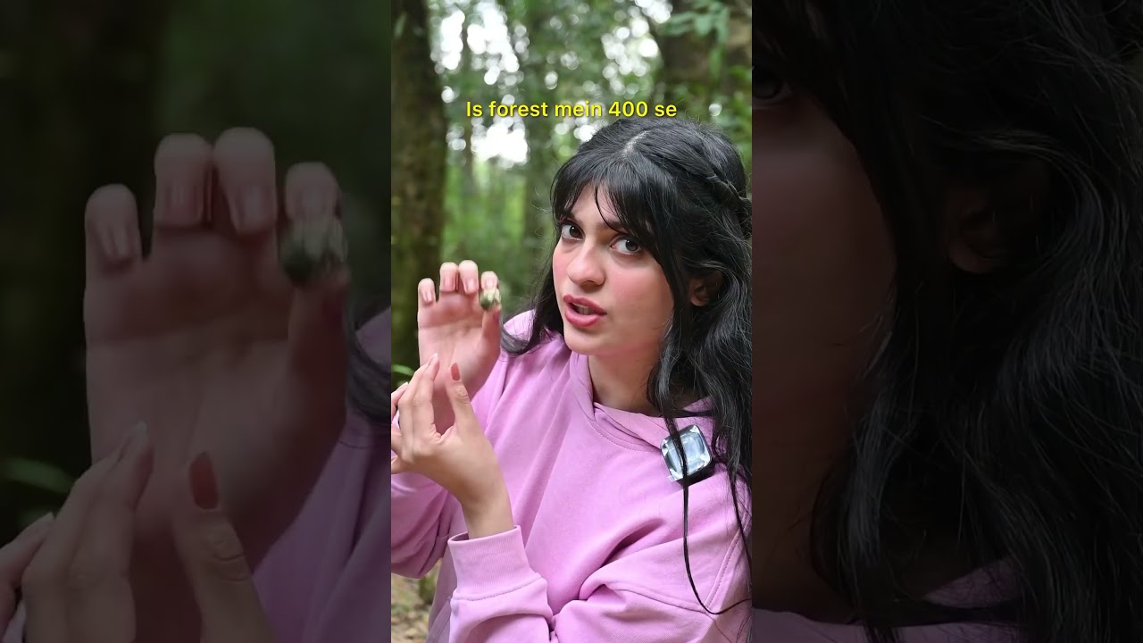 Sacred Forests of Meghalaya 🌳