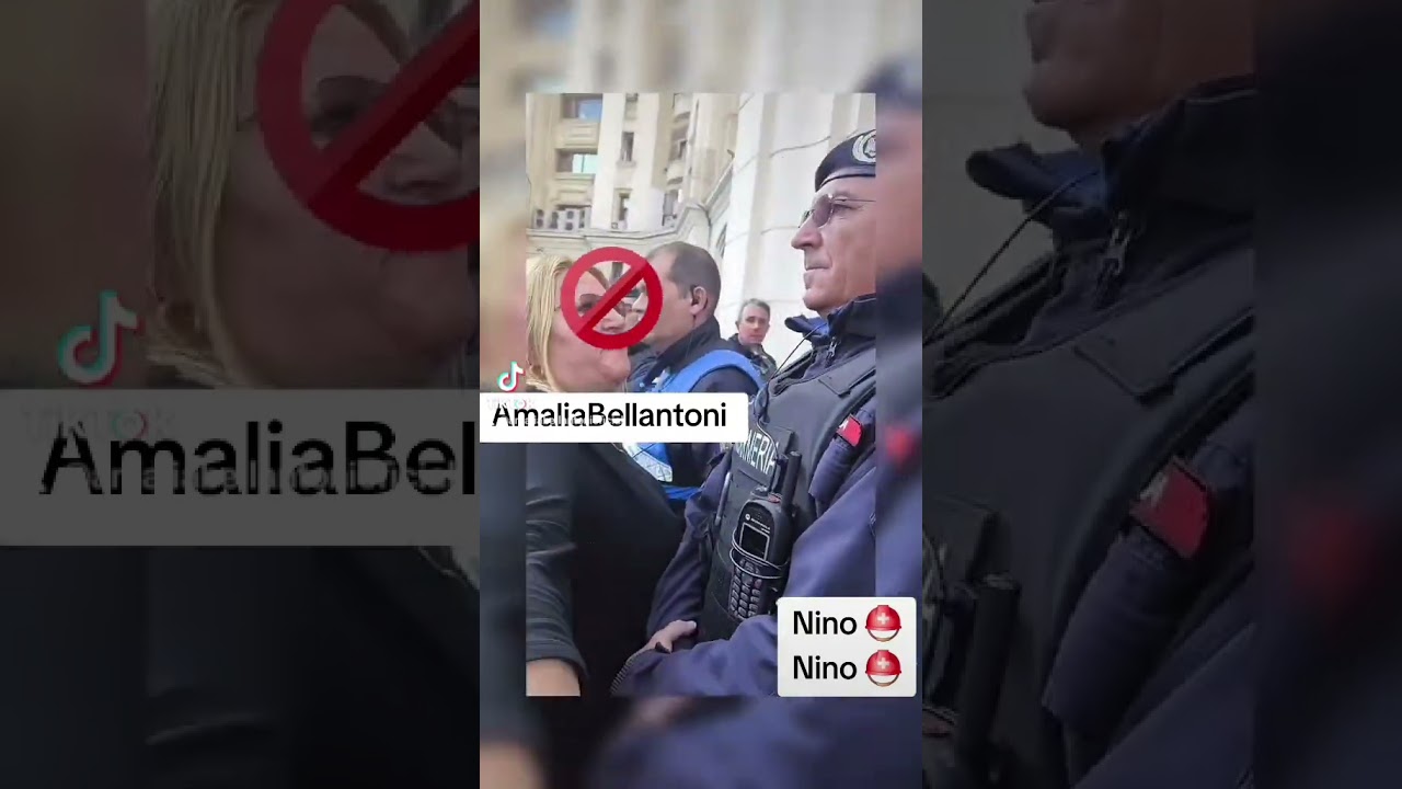 Amalia Bellentoni: Profile & Insights