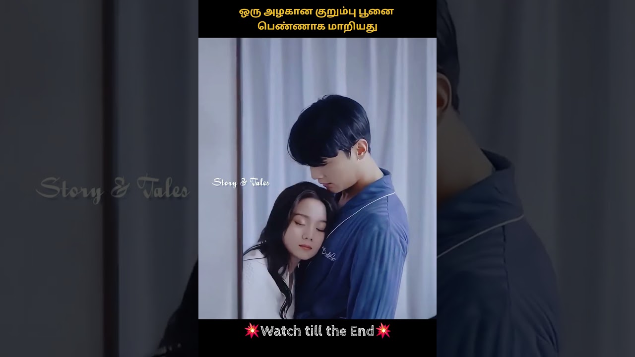 Adorable Naughty Cat Transforms into a Human in This Fun Chinese Drama! 🐱➡️👤