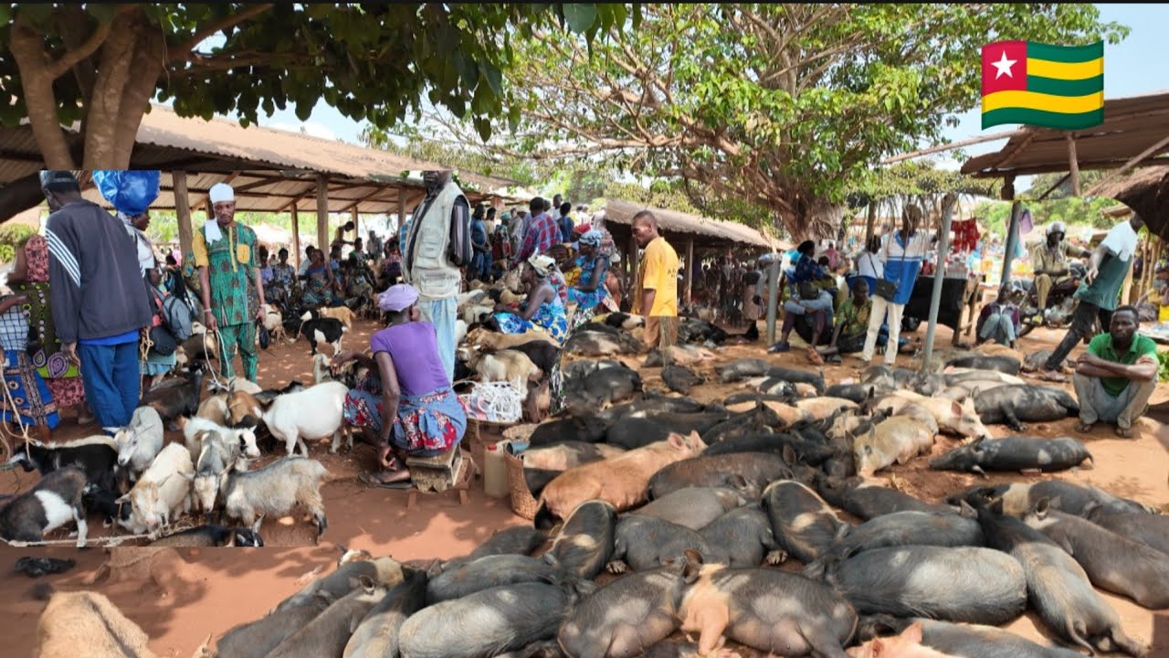 Village Market Day in Rural Togo 🇹🇬 West Africa