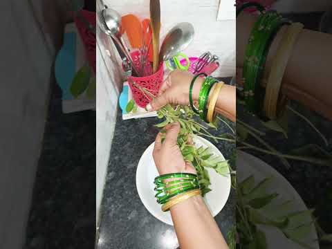 कड़ी पत्ता या मीठे नीम को लंबे समय समय तक रखे ताजा🌿#ytshorts #reels #viral