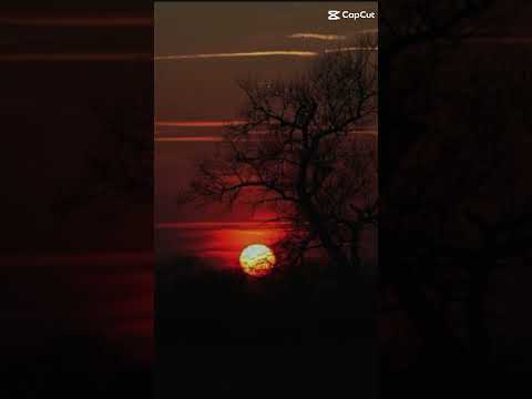 Masya allah🙏👼 #bian#bskeepsmiling