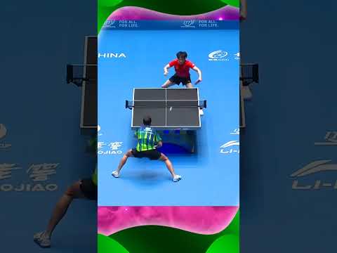 The Best Backhand Wang Chuqin #tabletennis #pingpong #bordtennis #tafeltennis #탁구 #乒乓球 #sports