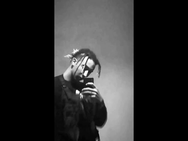 Ricevi le Stories del Tuo Influencer Preferito ogni Giorno! 📲