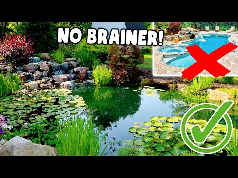 Goodbye Pool - Hello *GORGEOUS POND*