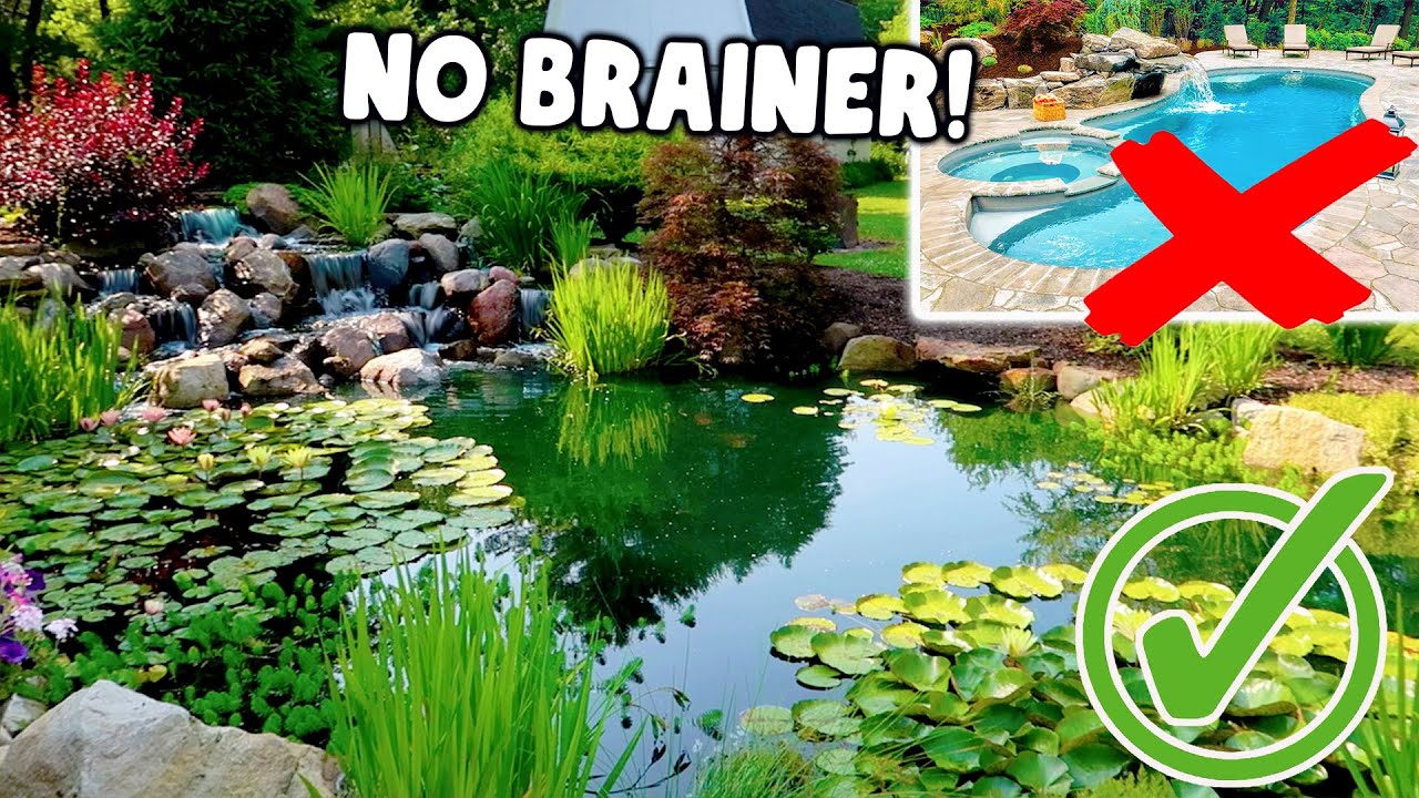 Transform Your Backyard: From Empty Pool to Stunning Pond 🌿
