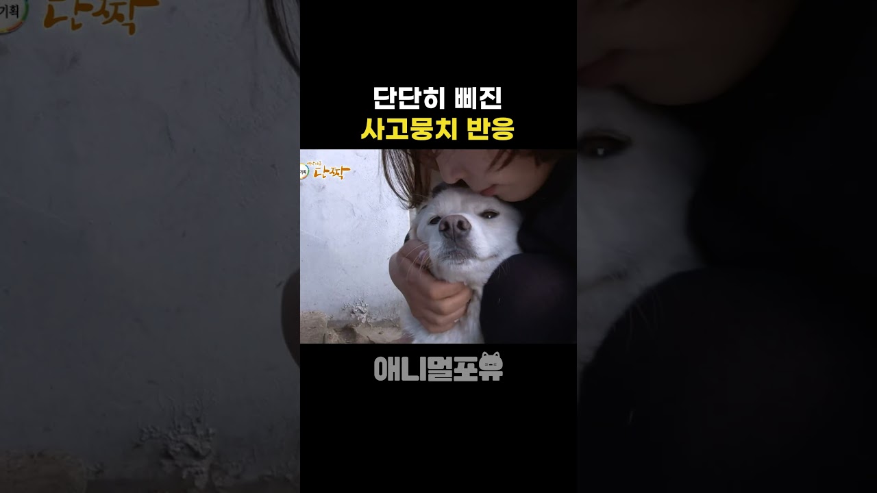 비전 사고문제 해결 방법