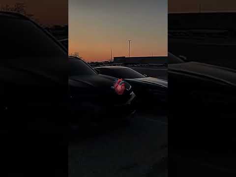 habibi ✨ which is your favorite car 🙃#music #love #habibivelocityedit #habibi #lyrics #like