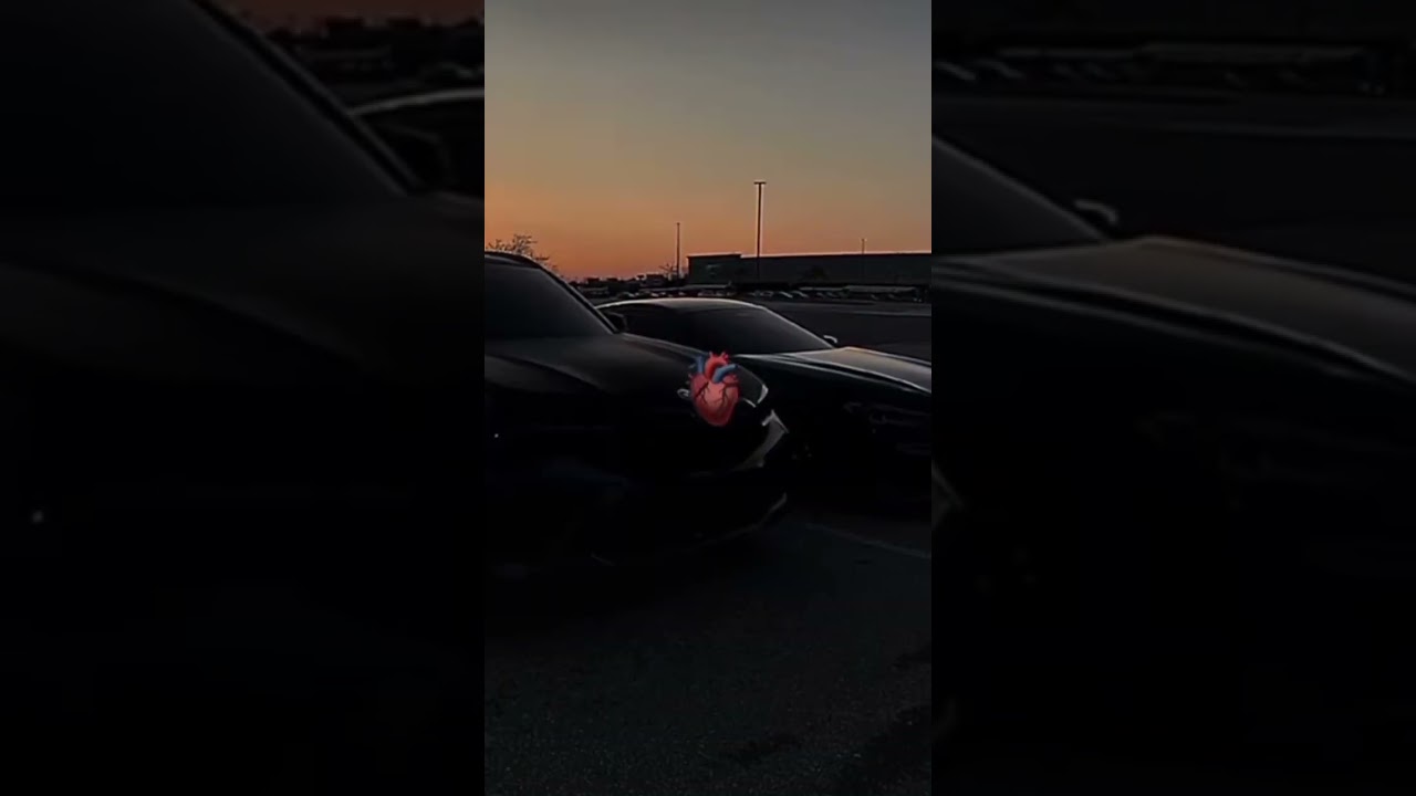 Habibi ✨: What's Your Favorite Car? 🚗