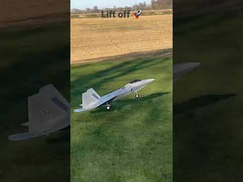F22 vertical takeoff - Freewing 90mm edf rc jet #rcplane #freewing #f22 #f22raptor #aviation