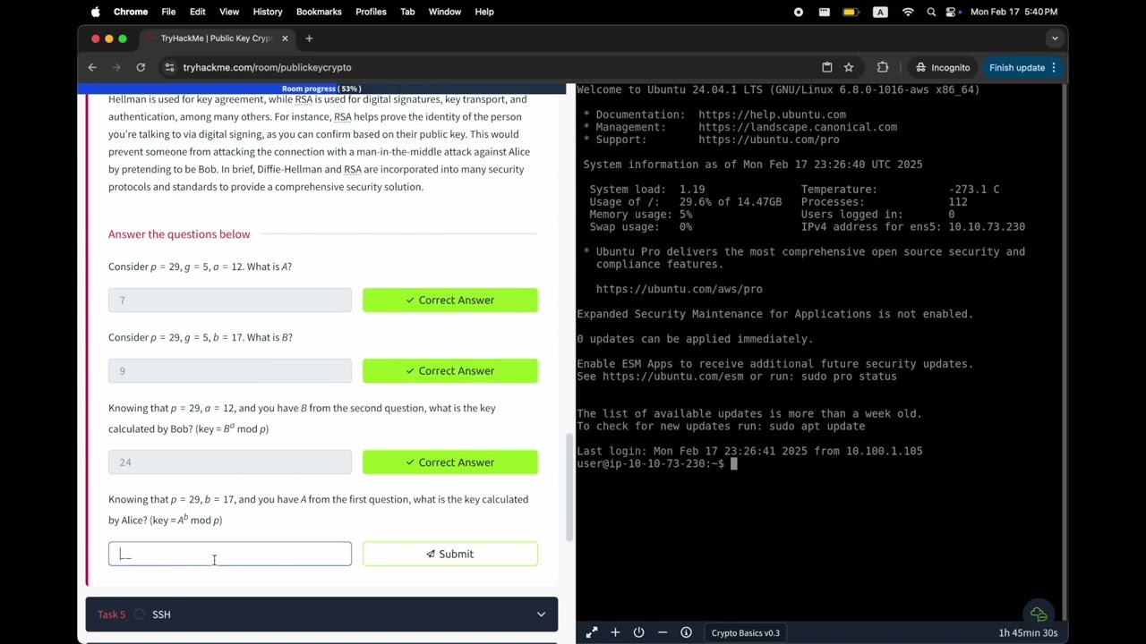 Public Key Cryptography Explained 🔐 – TryHackMe Beginner's Guide