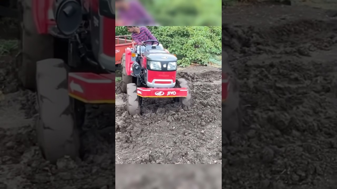 Mahindra Jivo 305 Mud Testing 💥🔥🚜 #mahindrajivo305di #mahindrayuvraj215 #viralvideo #trending