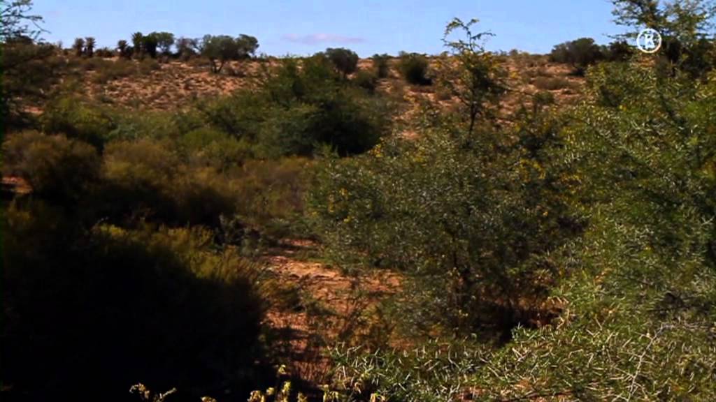 Bogner Man Winter Collection 2011 ❄️