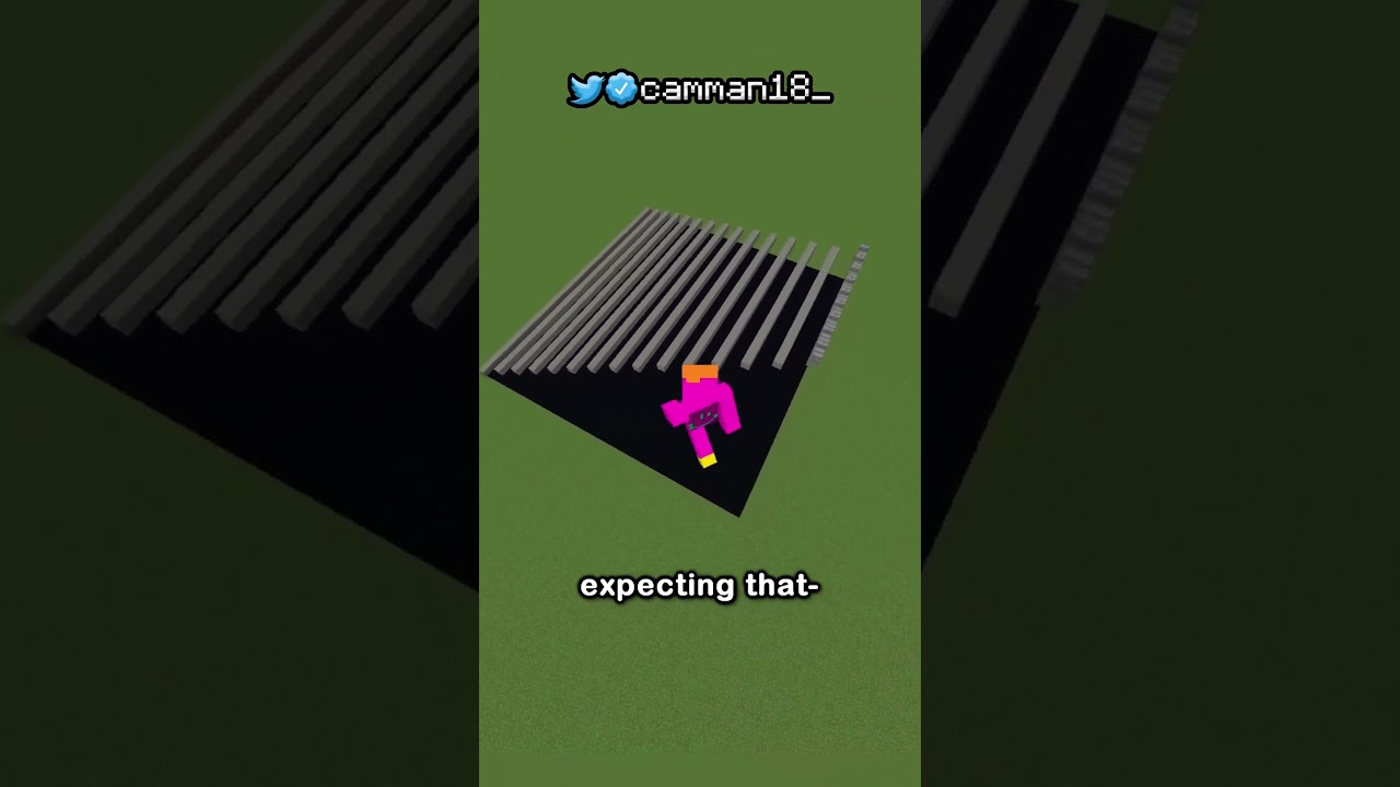 Best Minecraft Optical Illusions