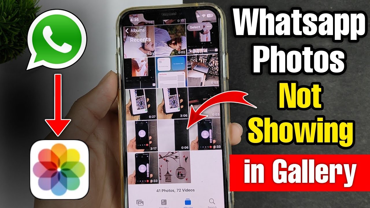 Fix WhatsApp Photos Not Saving to iPhone Gallery 📱