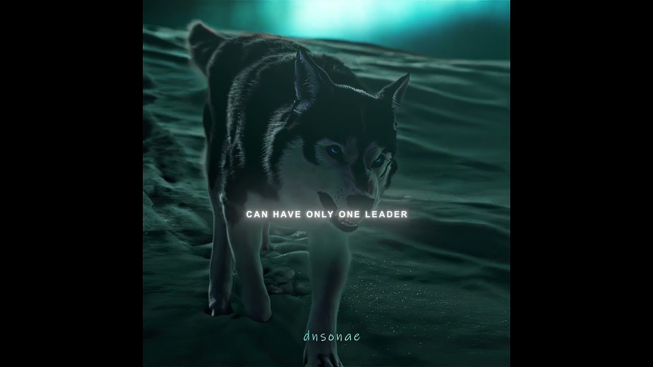 One Leader per Pack in The Call of the Wild 🐺