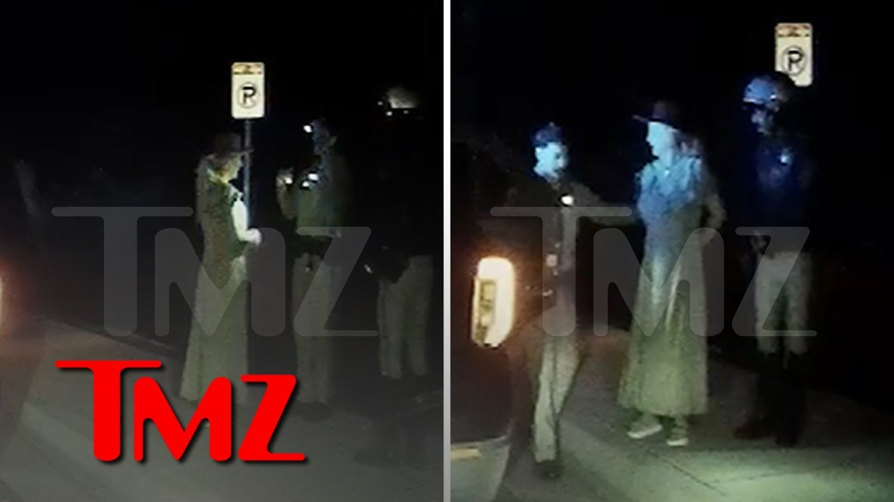 Britney Spears Dashcam Shows Cops Cuffing Her After Failing Sobriety Test | TMZ