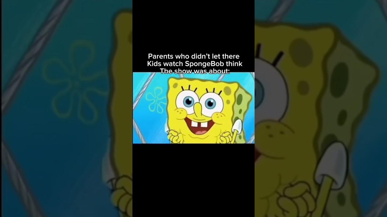 What Is SpongeBob About? 🧽