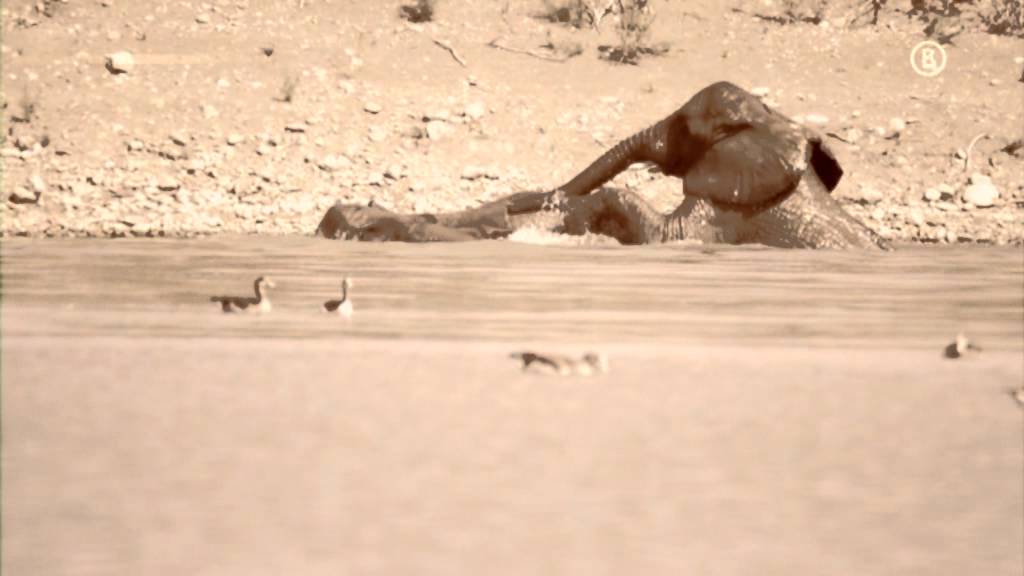 Bogner Women's Winter Collection 2011 ❄️