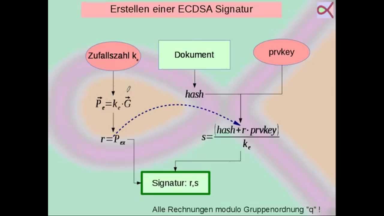 Verstehen Sie die Digitale Signatur mit elliptischen Kurven (ECDSA) 🔐